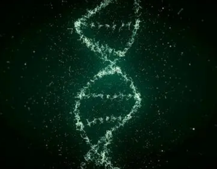 重组抗PD-1全人源单克隆抗体注射液(SG001)临床试验治疗实体肿瘤