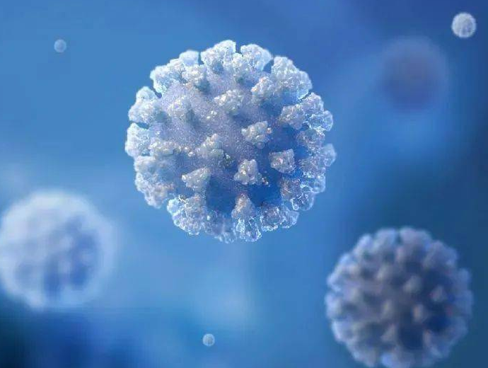 新的 CLL 数据指向“持久、持久的响应”