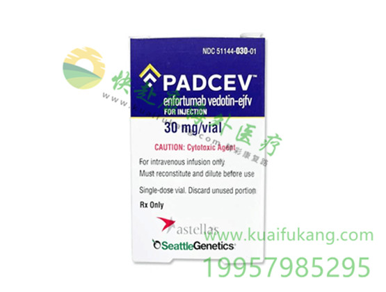 恩诺单抗(Padcev,enfortumab)中文说明书价格