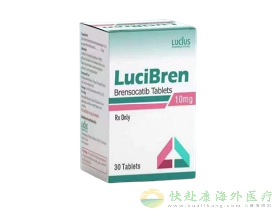 老挝卢修斯布瑞索卡替中文说明书